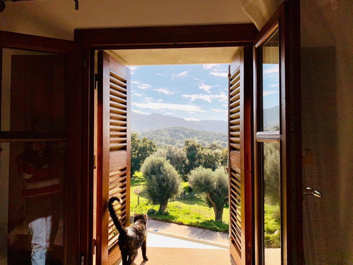 Domaine De Tappa - Casa Filicina Villa Sollacaro Exterior photo