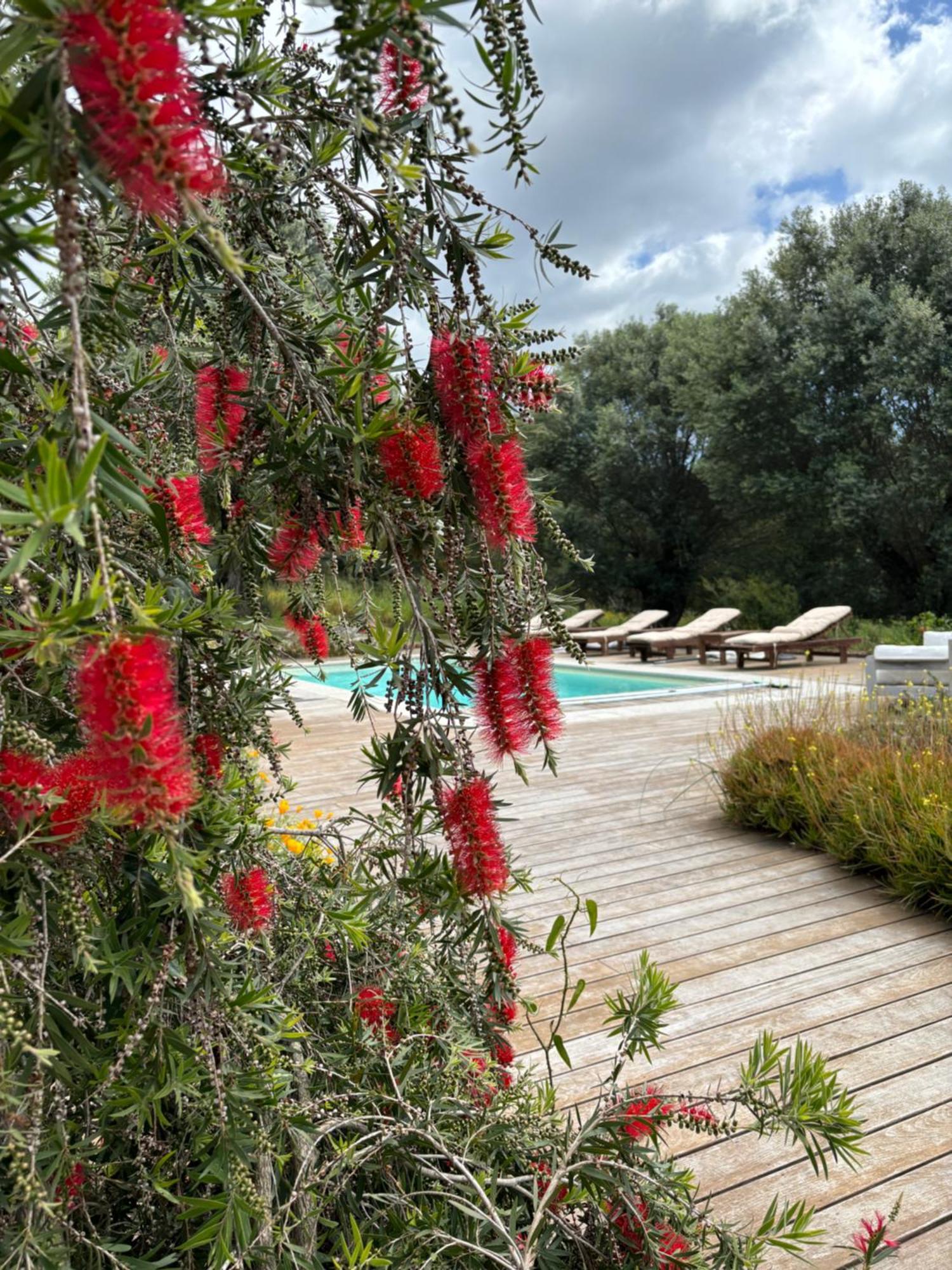 Domaine De Tappa - Casa Filicina Villa Sollacaro Exterior photo